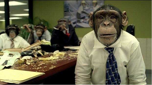 程序员的出路在哪里找工作很容易吗