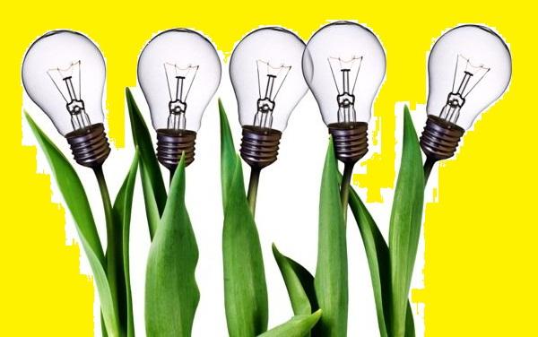 数据分析员的三个等级划分依据是什么