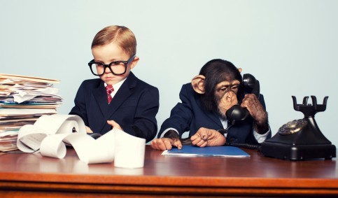 投资主管岗位职责、任职条件以及应具备的能力