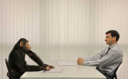 求职找工作如何应对不同类型的面试官